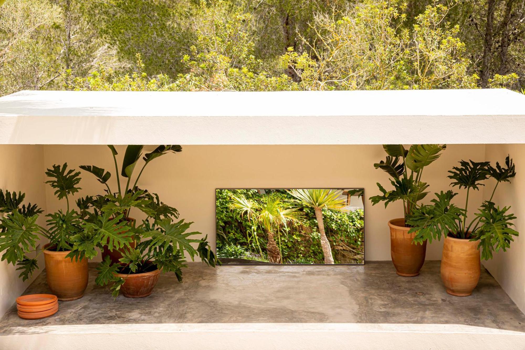 Boutique Hotel Jardines De Palerm San José Kültér fotó