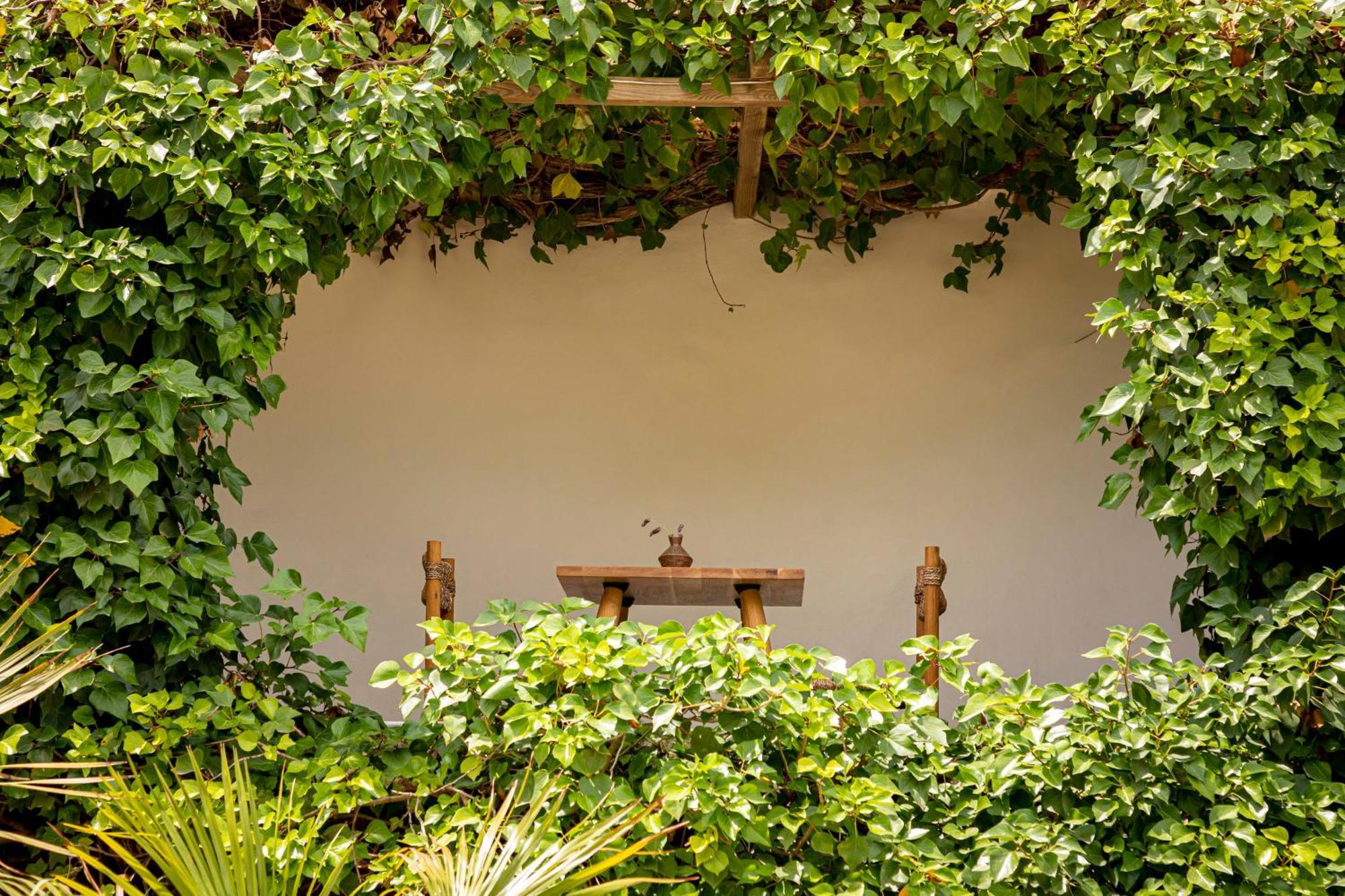 Boutique Hotel Jardines De Palerm San José Kültér fotó