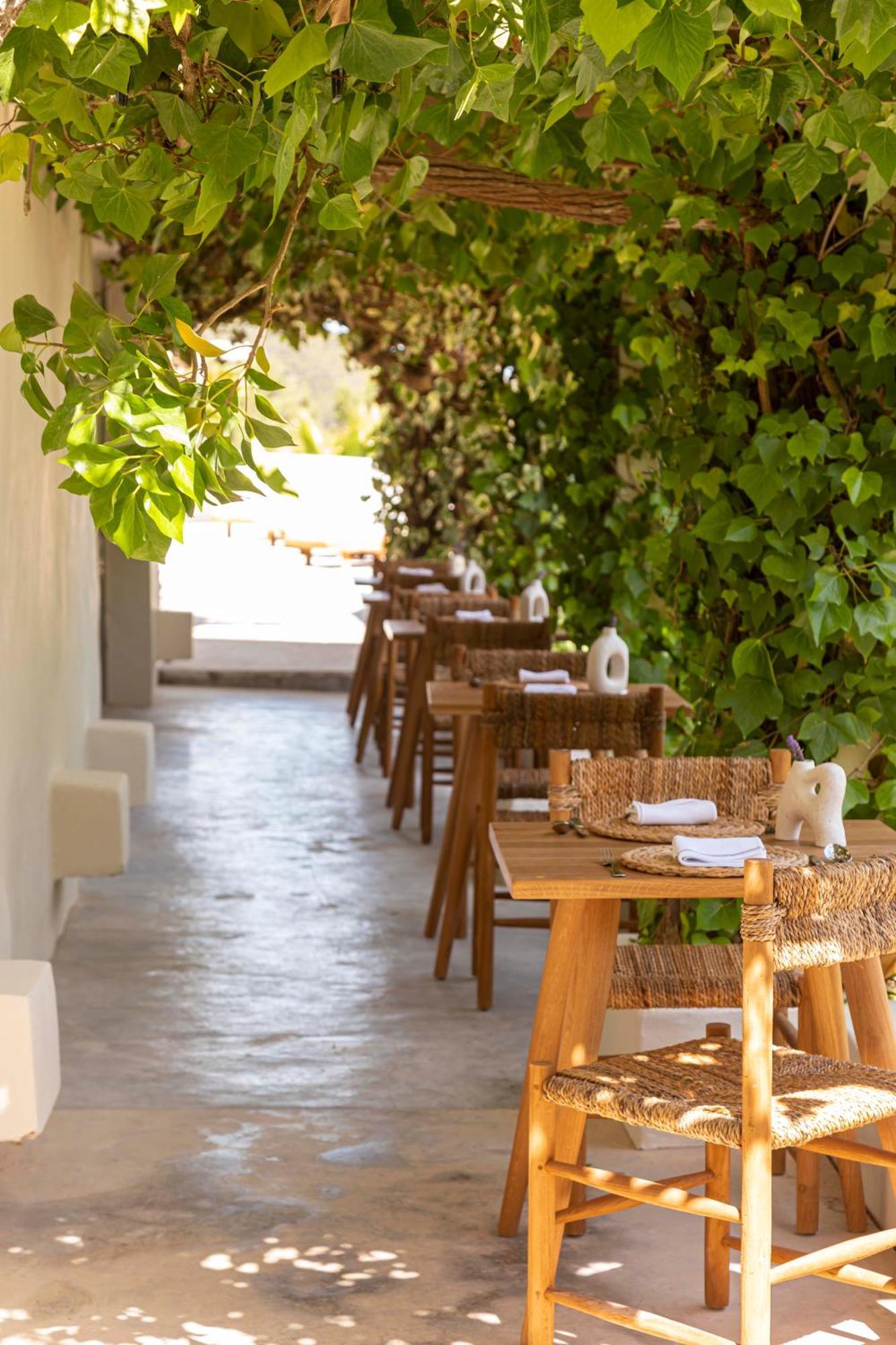 Boutique Hotel Jardines De Palerm San José Kültér fotó